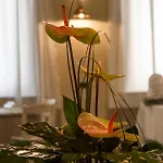 Hotel Europa 3*